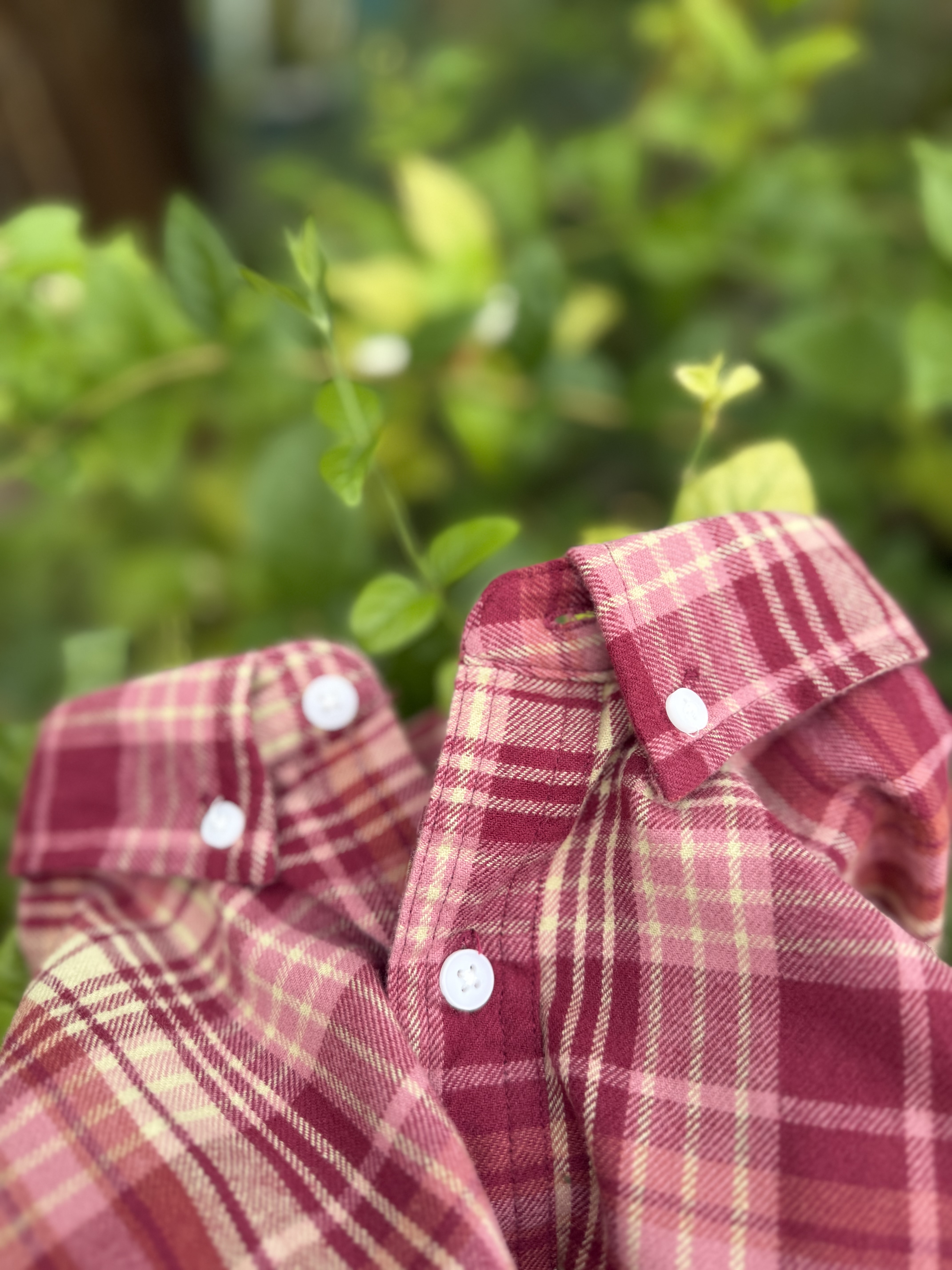 Flannels