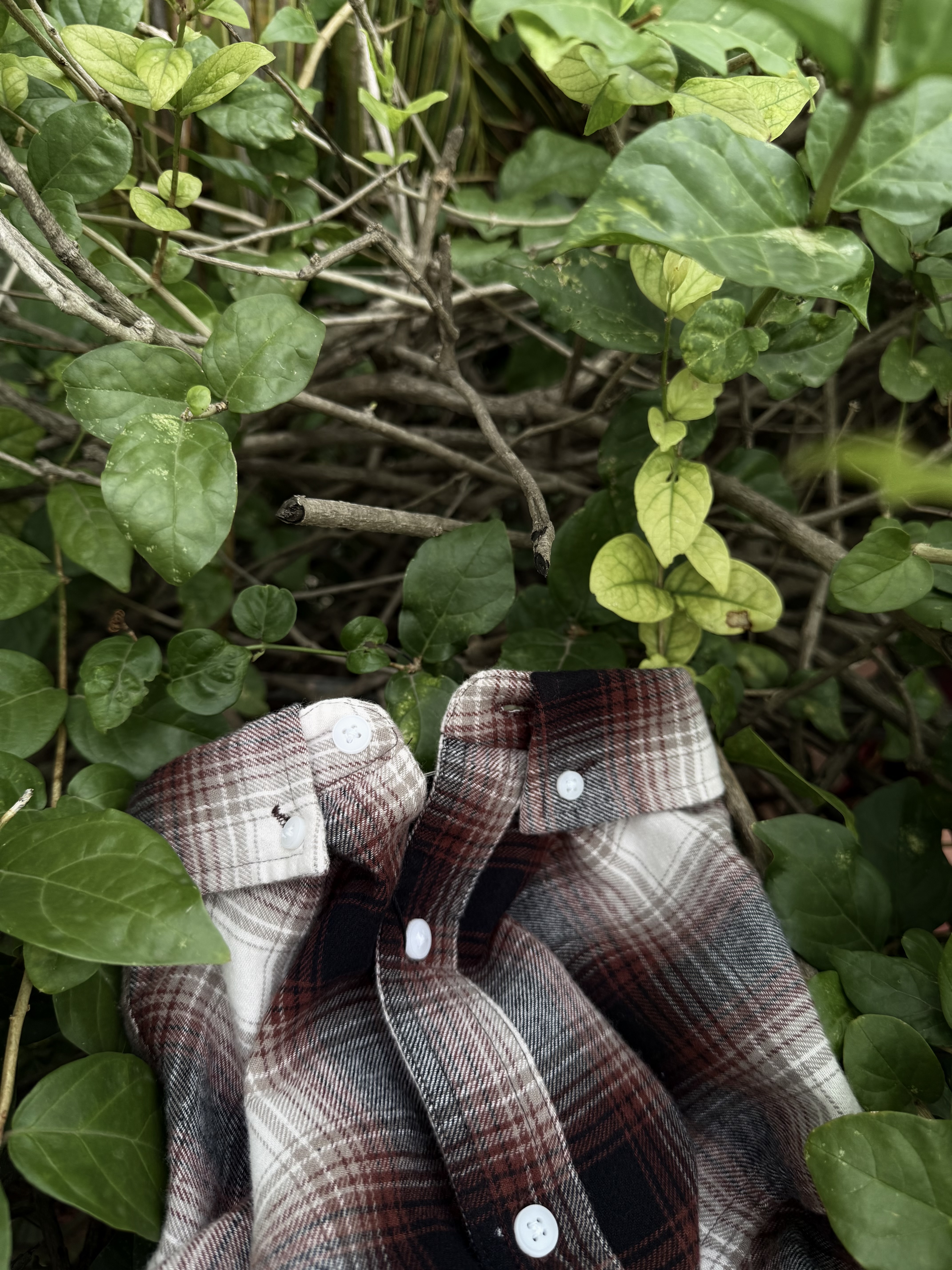 Flannels
